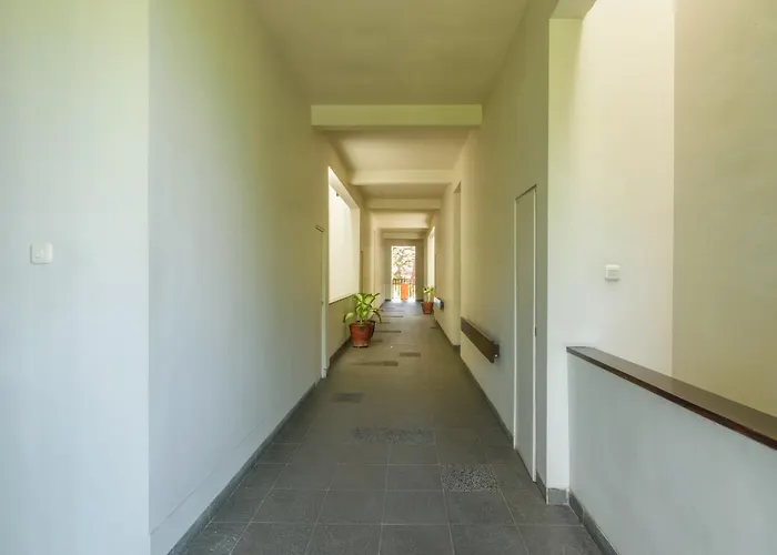 Hotel Kokonut